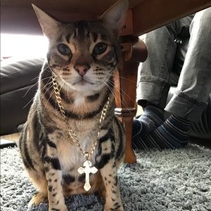 Meet your Posher, Toni